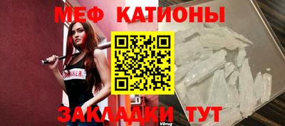 крисы Лесной
