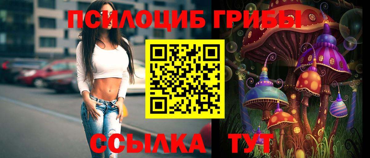 где можно купить   Псилоцибиновые грибы мицелий  Елизово  Вход с VPN  Галлюциногенные грибы GOLDEN TEACHER 