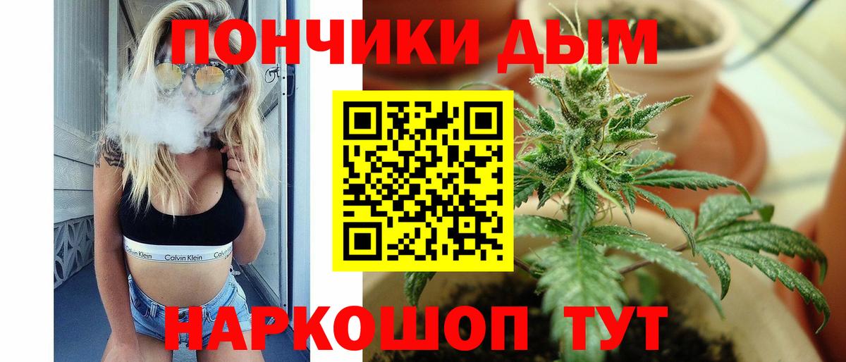 Шишки марихуана тримм  Вход с VPN  Елизово  МАРИХУАНА марихуана  МАРИХУАНА гибрид 